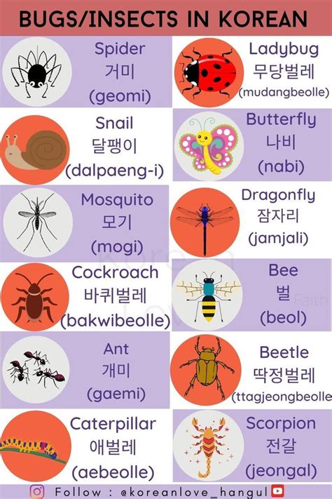 ybugs|bugs korea.